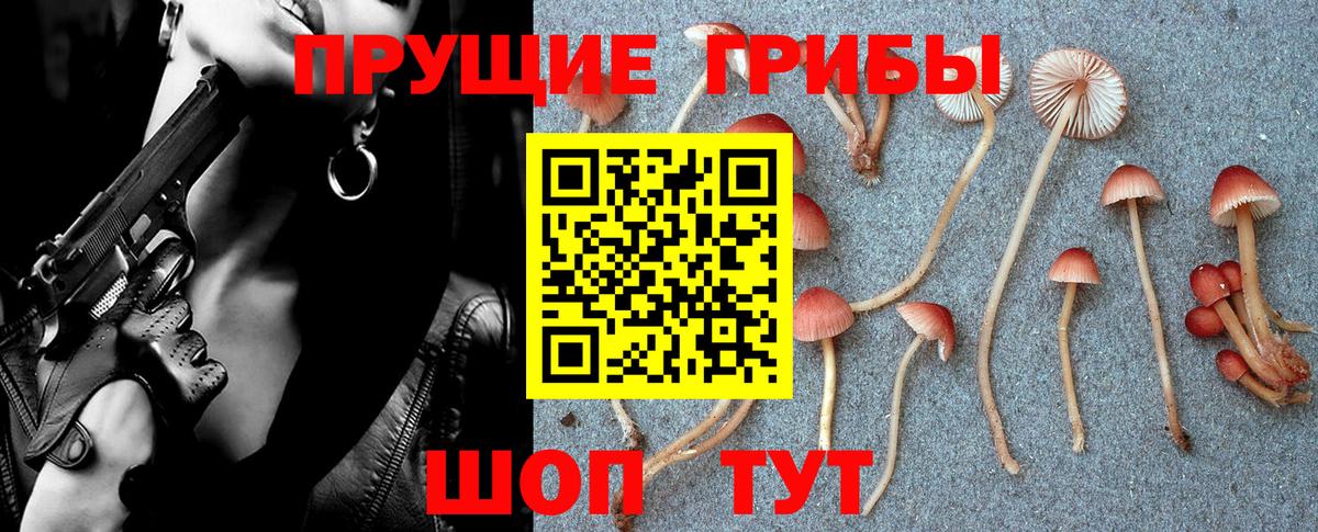 Стрежевой  где купить   Вход с VPN  Псилоцибиновые грибы ЛСД 